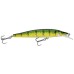 Воблер ADUSTA Jerk Spiker 130SP 19гр (#021 Yellow Perch)