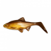 Приманка силиконовая XXL OlaLures Hooligan Roach 21см 125гр Crystal Bream (HR-C-BREAM-07)