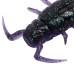 Виброхвост Lucky John Pro Series Alien Bug 2,5" 63мм, (7шт. упак.) цвет T52