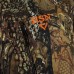 Костюм ХСН "Travel" (лес) р. 60-62/176