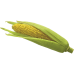 Кукуруза