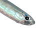 Виброхвост MADFISH NATURAL YOUNG FISH 100мм, 5.5г, (4 шт. уп.) цвет 19