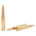 Патрон охотничий УПЗ (ТПЗ) 308 Win FMJ  RAPIRA 178gr/11,5гр. гильза/ пуля.лат (пачка 20шт)